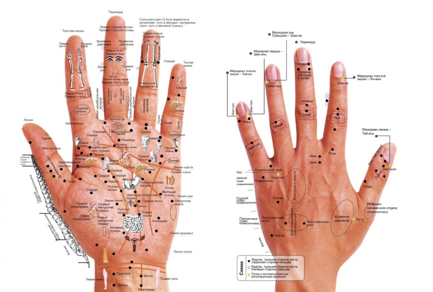 Массажер для рук Marutaka Hand SB фото 7