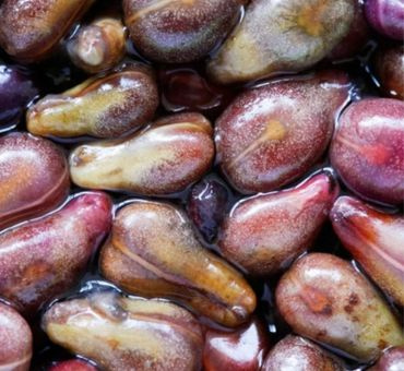 Виноградной косточки масло нераф. (100) фото 3